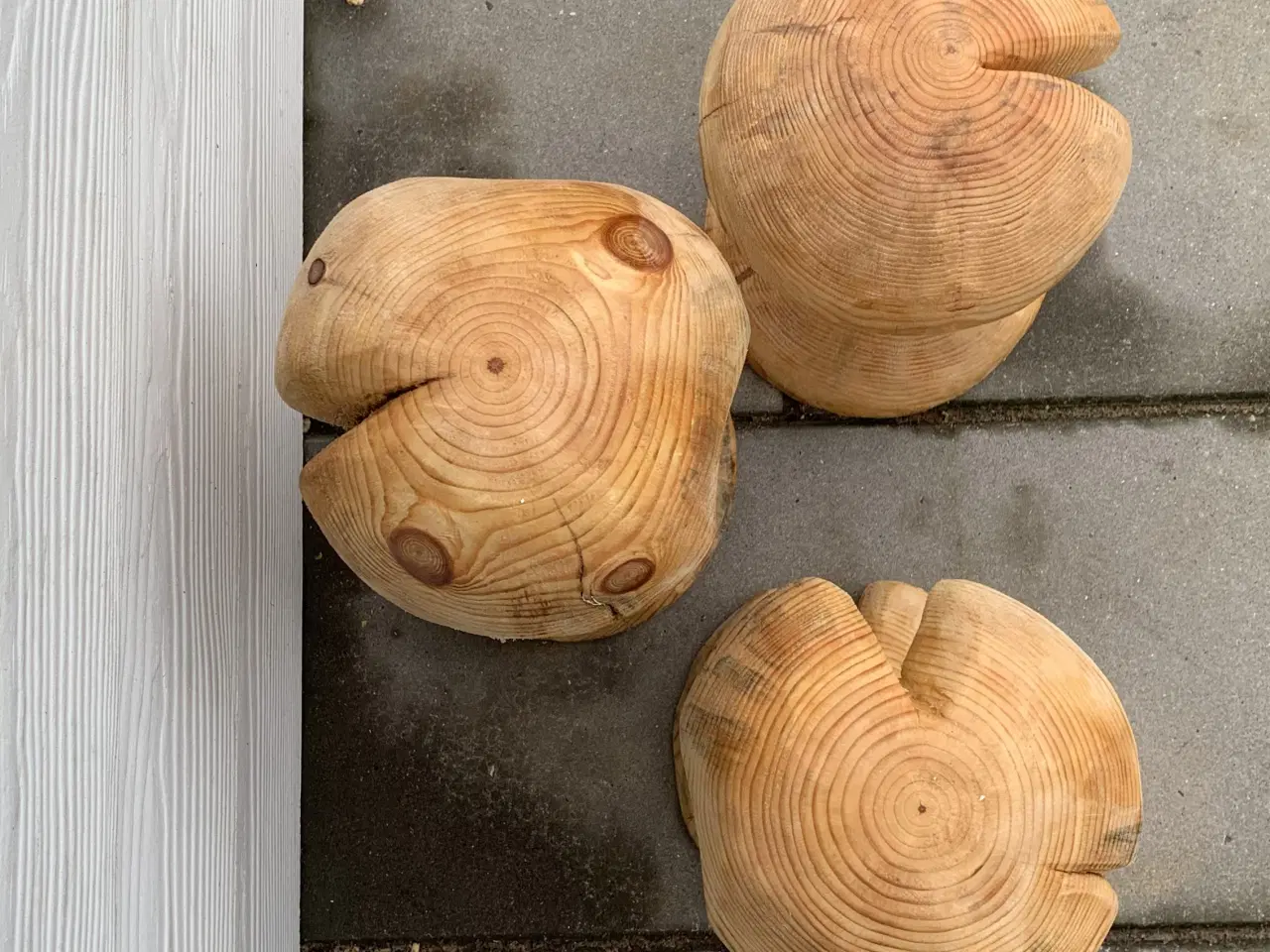 Billede 4 - PADDEHATTE / TRÆSVAMPE Serie - Ny pris 