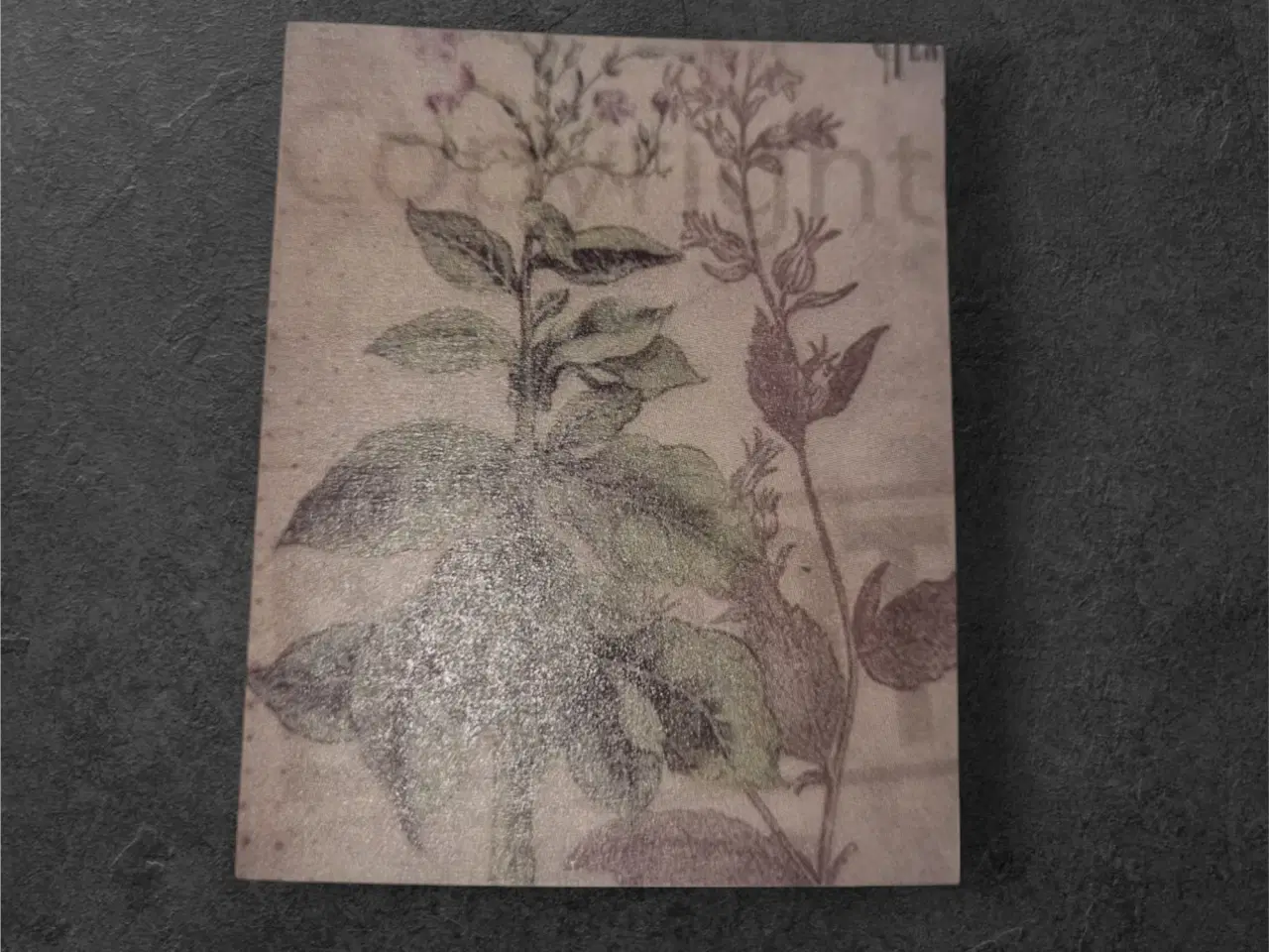 Billede 1 - Botanisk mini-tryk med rosa blomster og vintage-lo