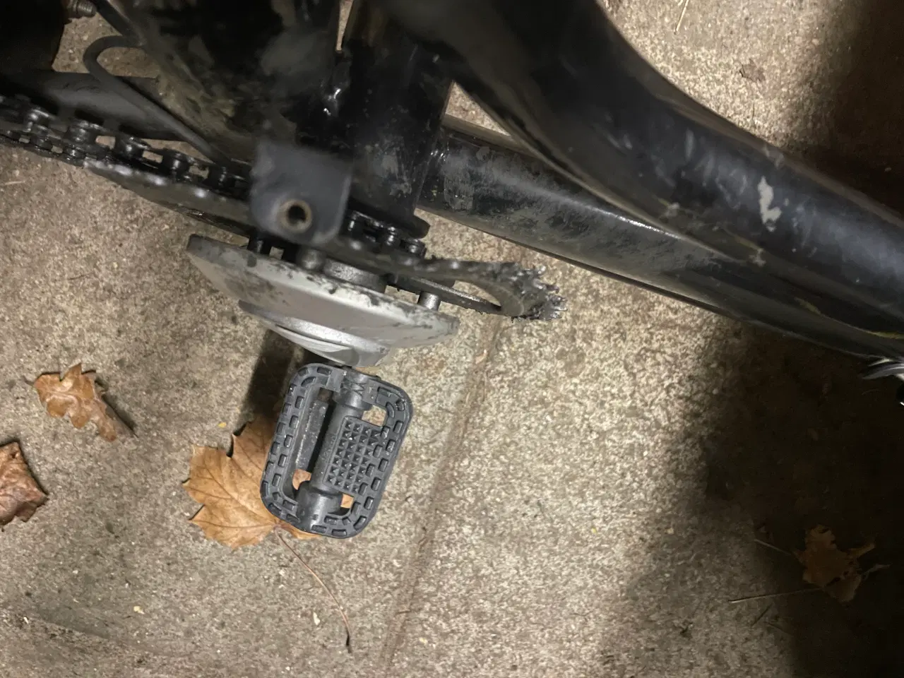 Billede 5 - Cargokid ladcykel