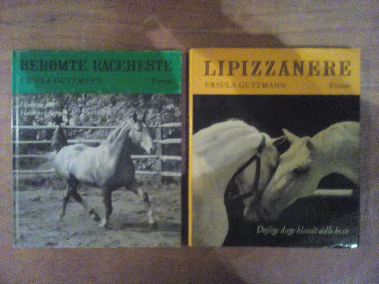 Billede 2 - Diverse hestebøger, priser fra 20