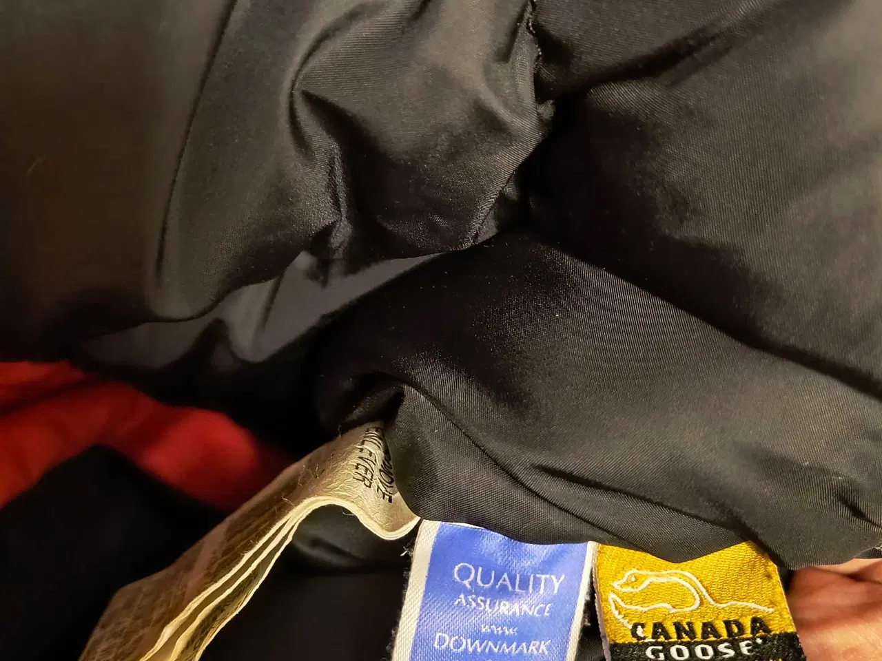 Billede 7 - Canana Goose