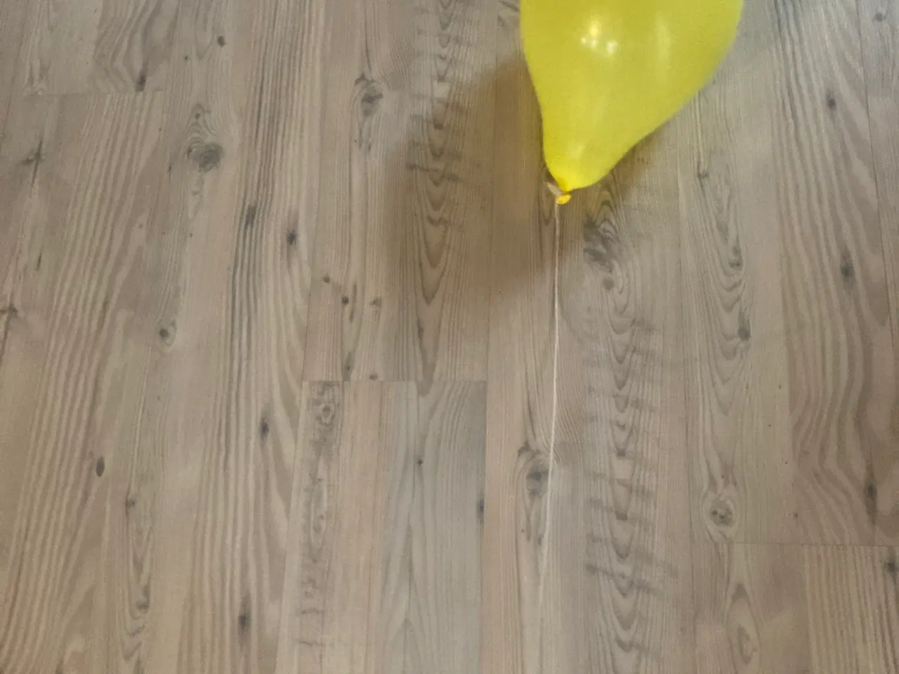 Billede 1 - Ballon med snor