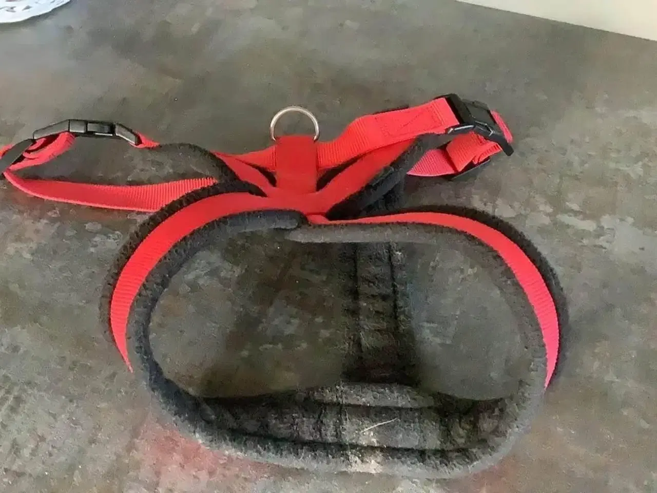 Billede 1 - Hunderem/sele, flere str. 