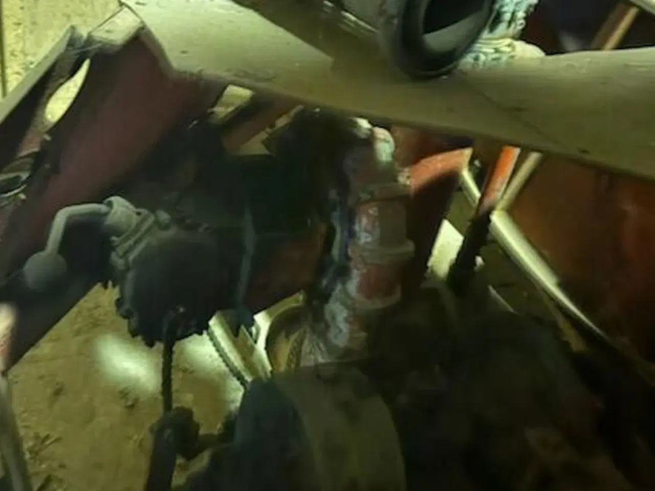 Billede 2 - CN ca. 300 m slange