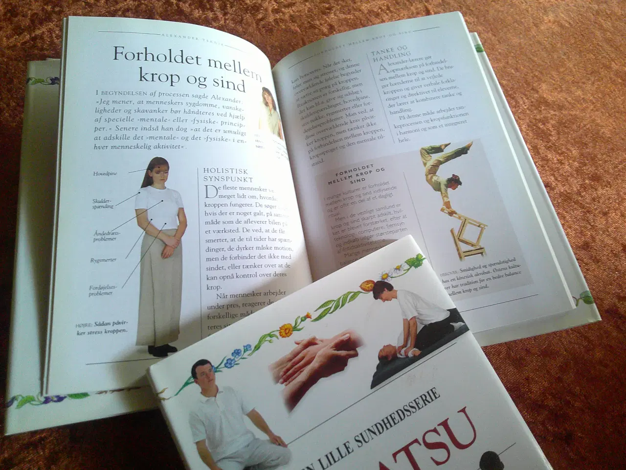 Billede 2 - Den lille sundhedsserie, Ailsa Masterton m.fl,