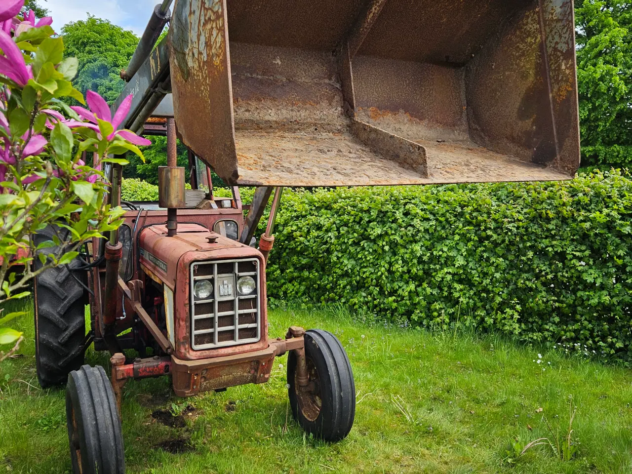 Billede 2 - Ih 574 Traktor