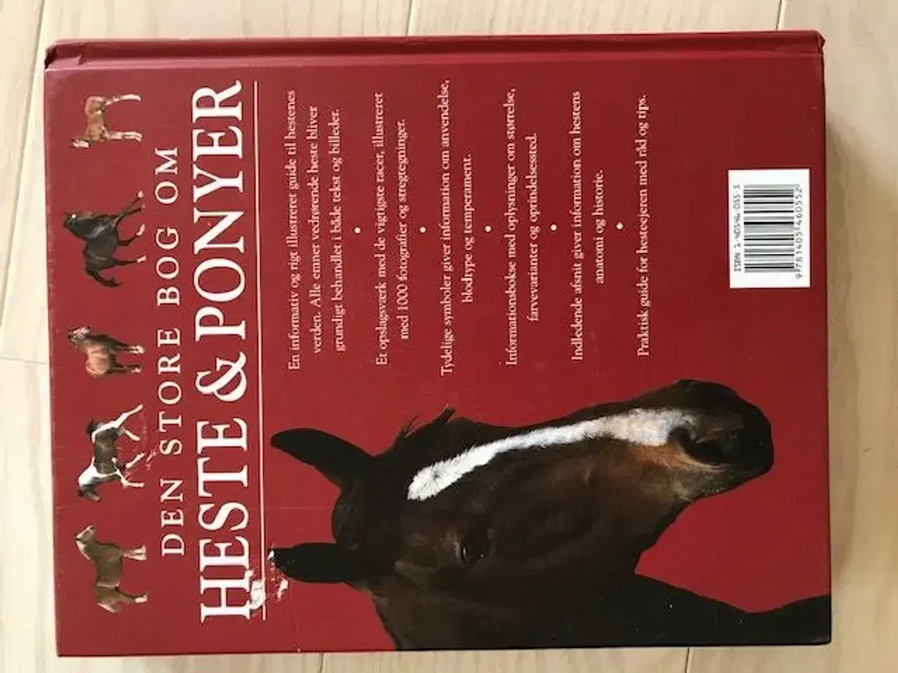 Billede 2 - Den store bog om heste og ponyer