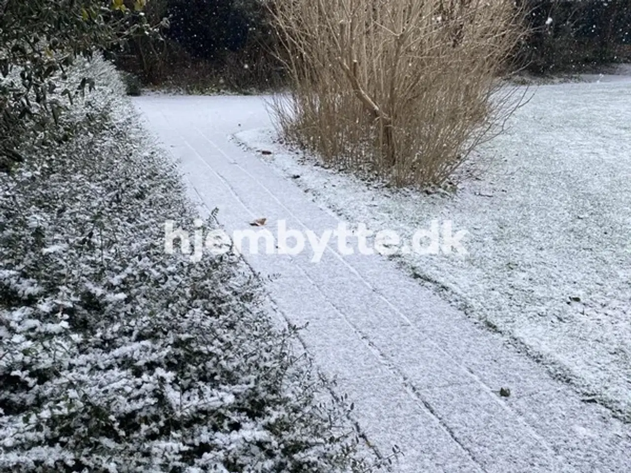 Billede 7 - Hjembytte - Sofievej