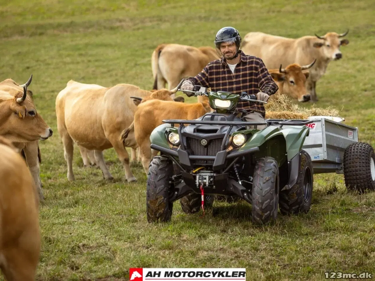 Billede 17 - Yamaha Kodiak 700 EPS STD