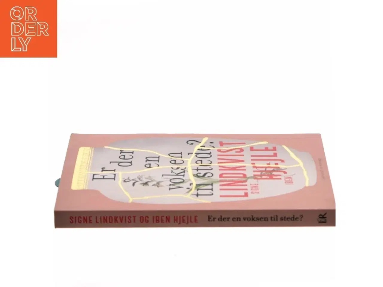 Billede 2 - Er der en voksen til stede? af Iben Hjejle (Bog)