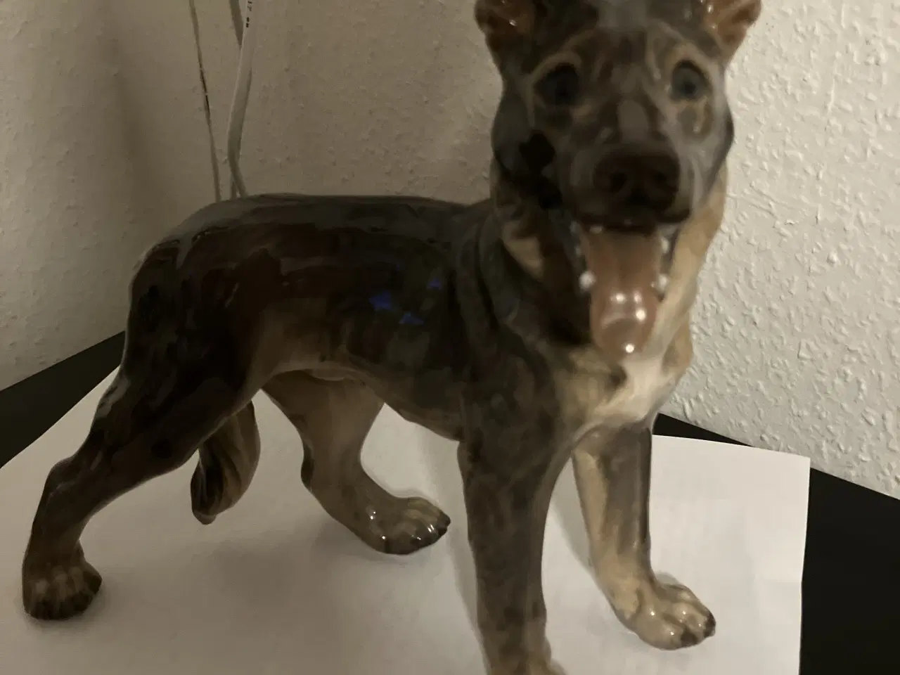 Billede 1 - Flot hund