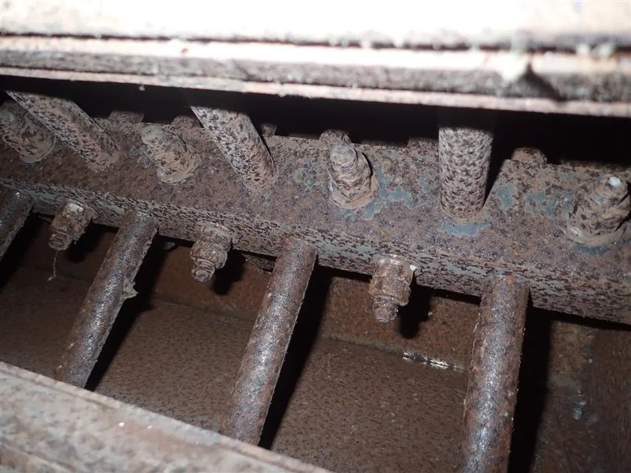 Billede 6 - - - - Kørner