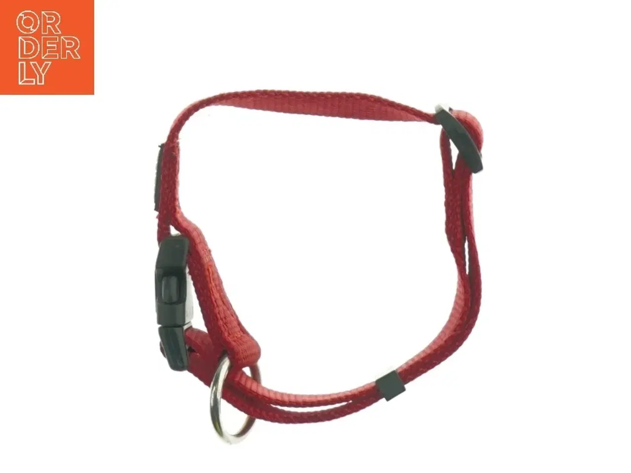 Billede 4 - Rød hundehalsbånd fra Anione (str. S)