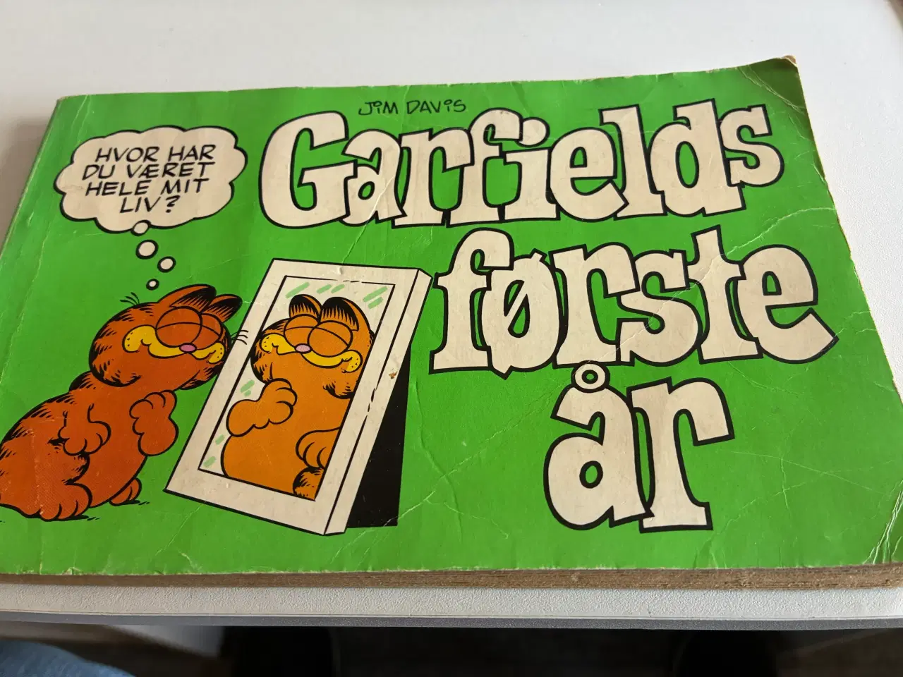 Billede 1 - Garfields første år