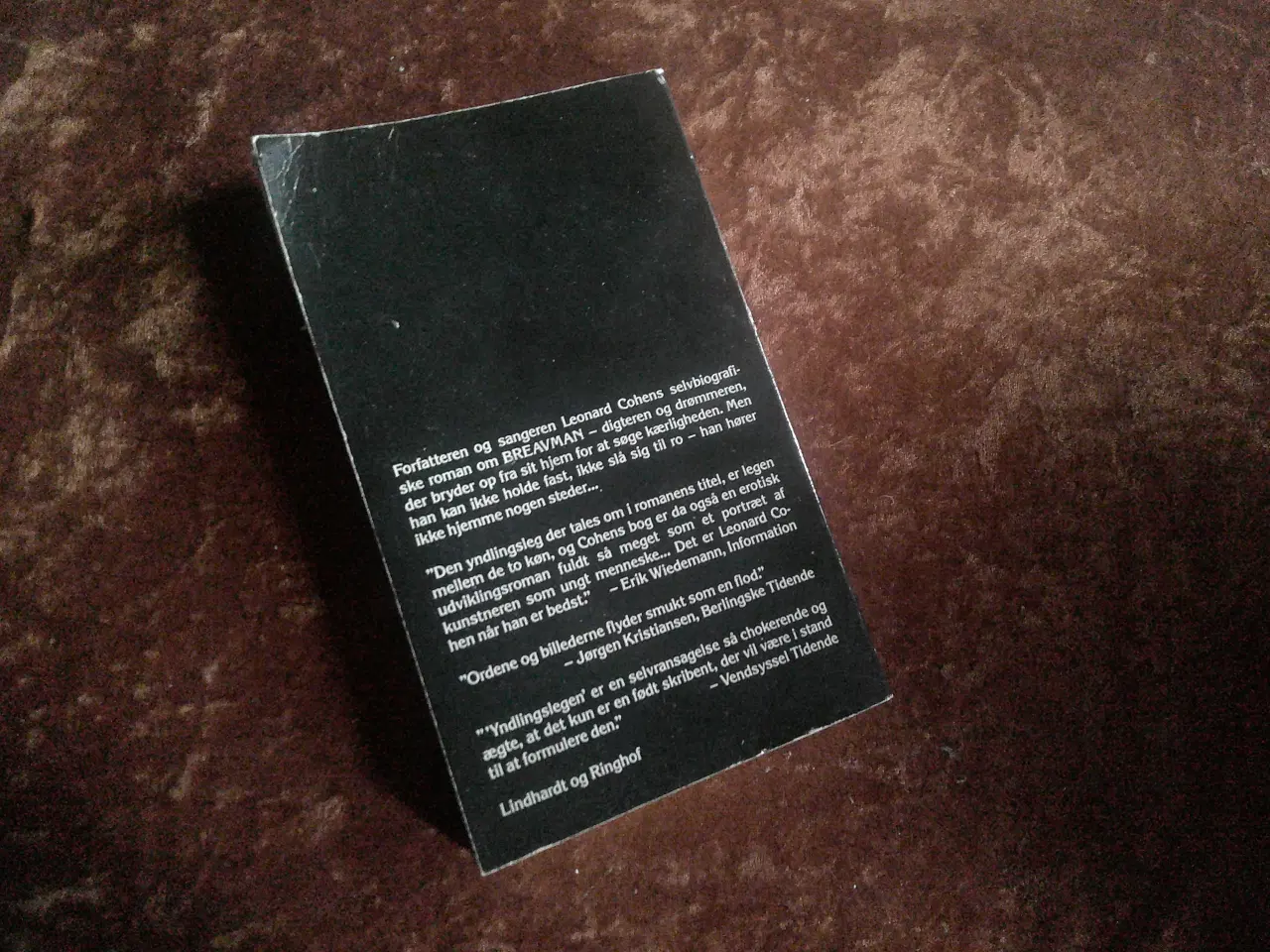 Billede 2 - Yndlingslegen, Leonard Cohen