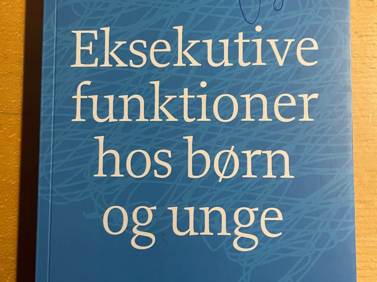 Billede 1 - Eksekutive funktioner hos børn og unge