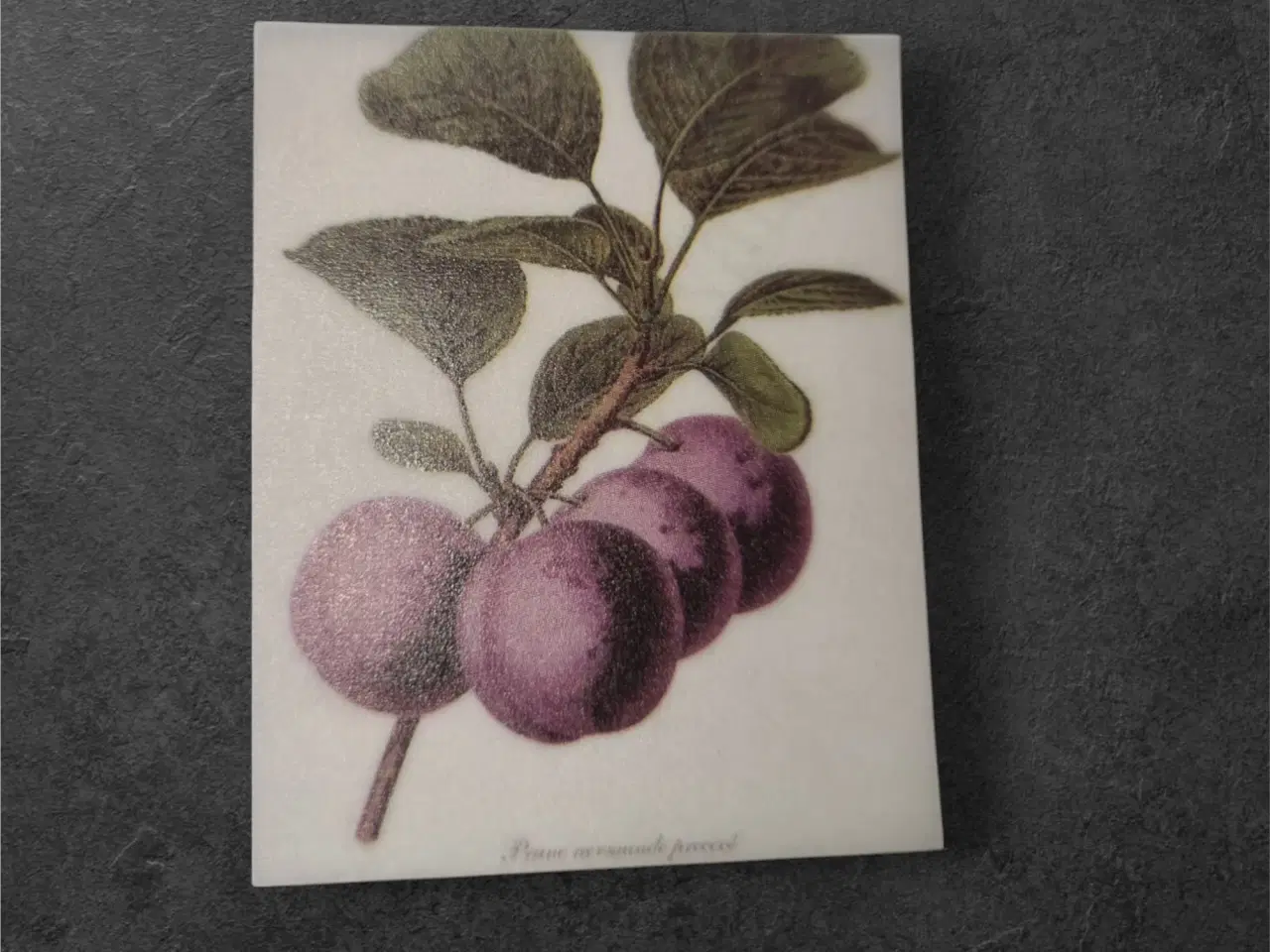 Billede 1 - Botanisk mini-tryk: Prunus domestica i blomst