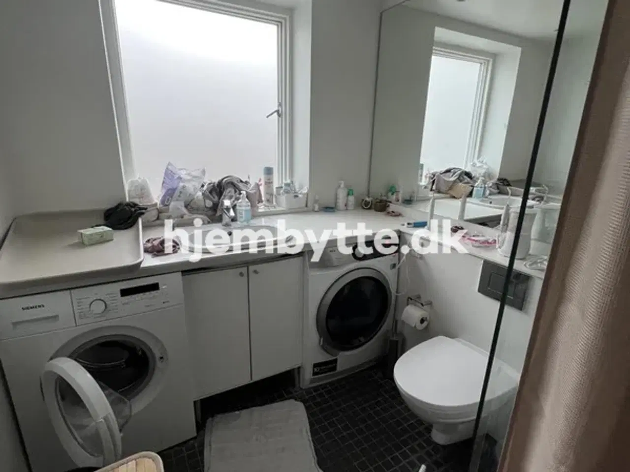 Billede 6 - Hjembytte - Helleborg