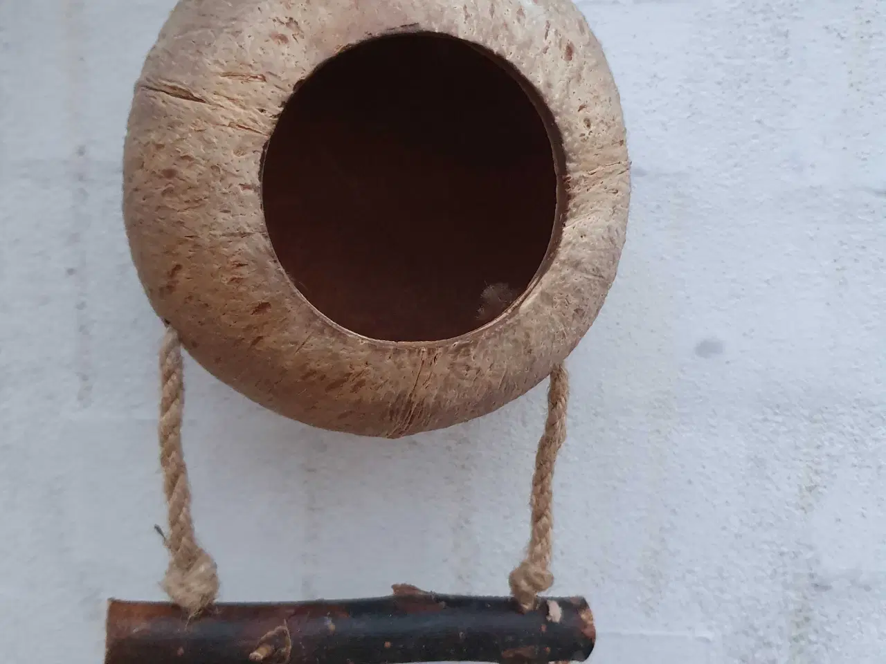 Billede 1 - Kokosnød-hus til hamster / mus