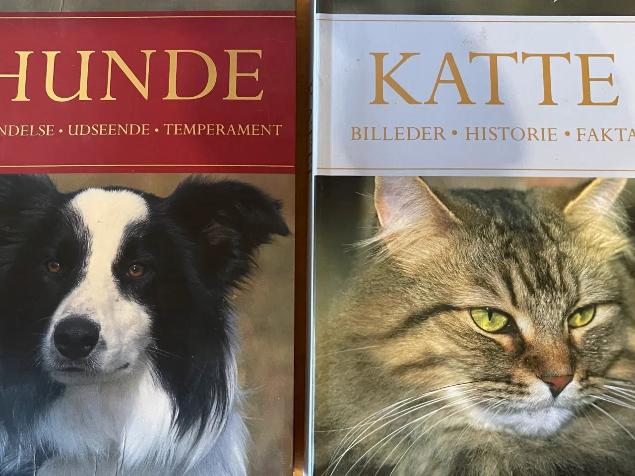 Billede 1 - Hund og kat bog