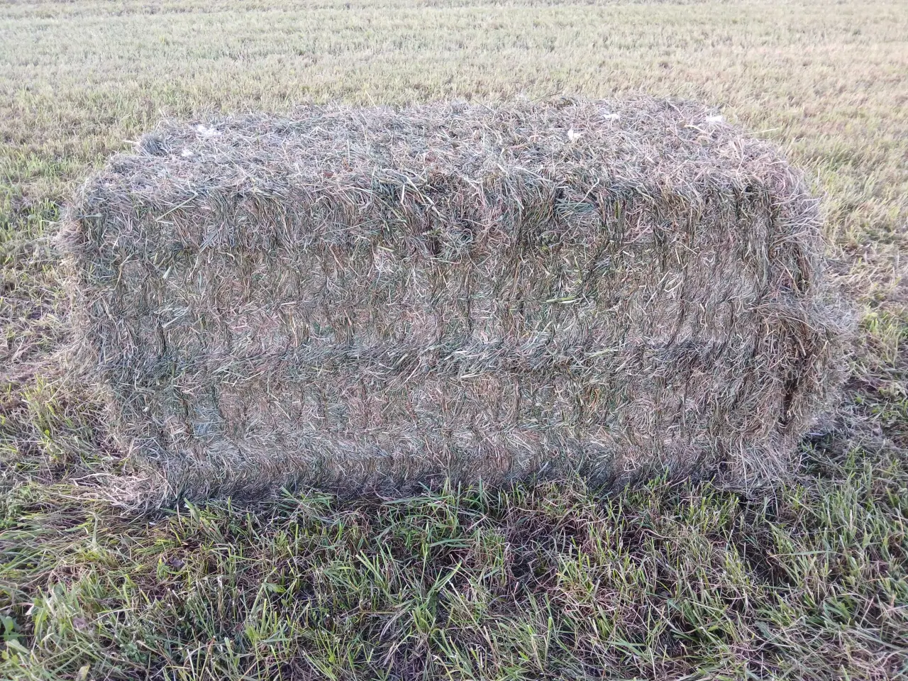 Billede 1 - 2 slet wrap i minibig