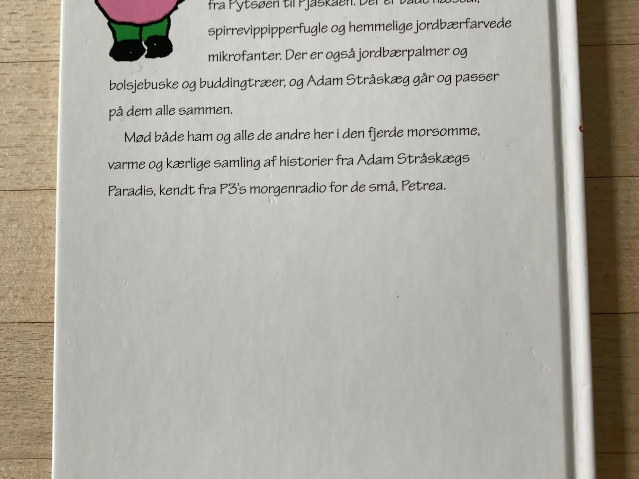 Billede 2 - Den himmelherlige sommerblomstersol og andre histo