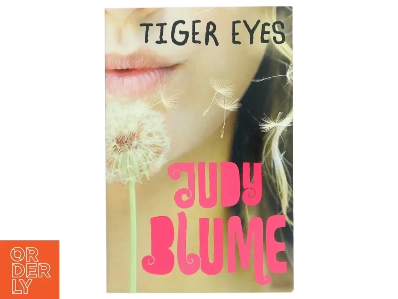 Billede 1 - Tiger Eyes af Jydy Blume (Bog)