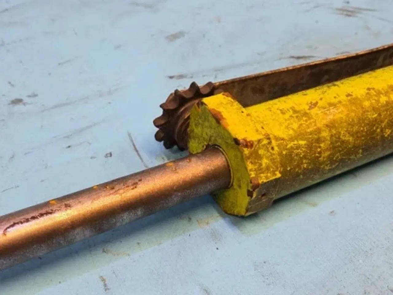 Billede 11 - Claas Jaguar 850 Cylinder 9878592
