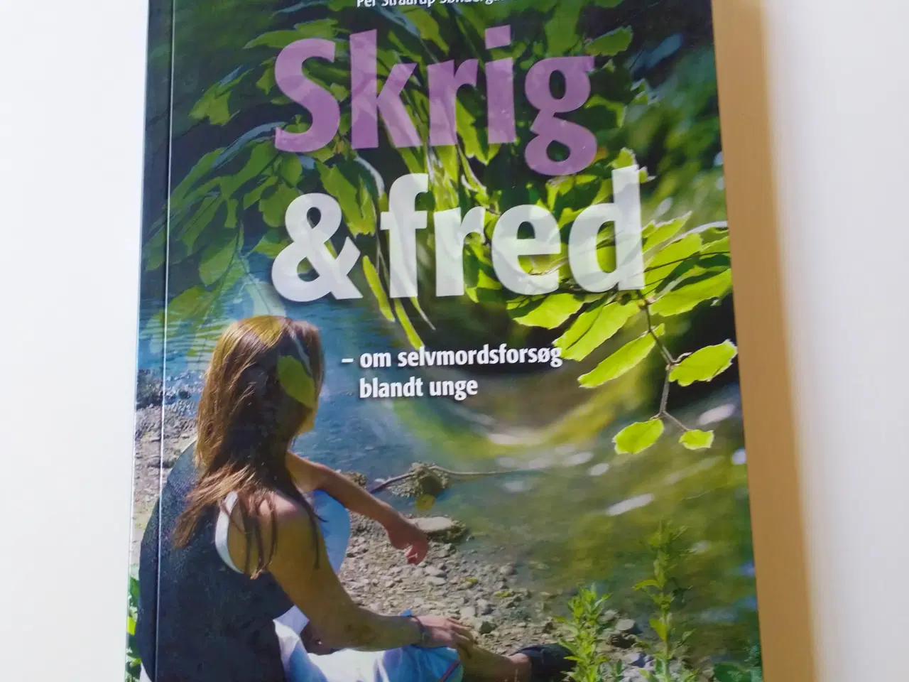 Billede 1 - Skrig & fred - om selvmordsforsøg blandt unge