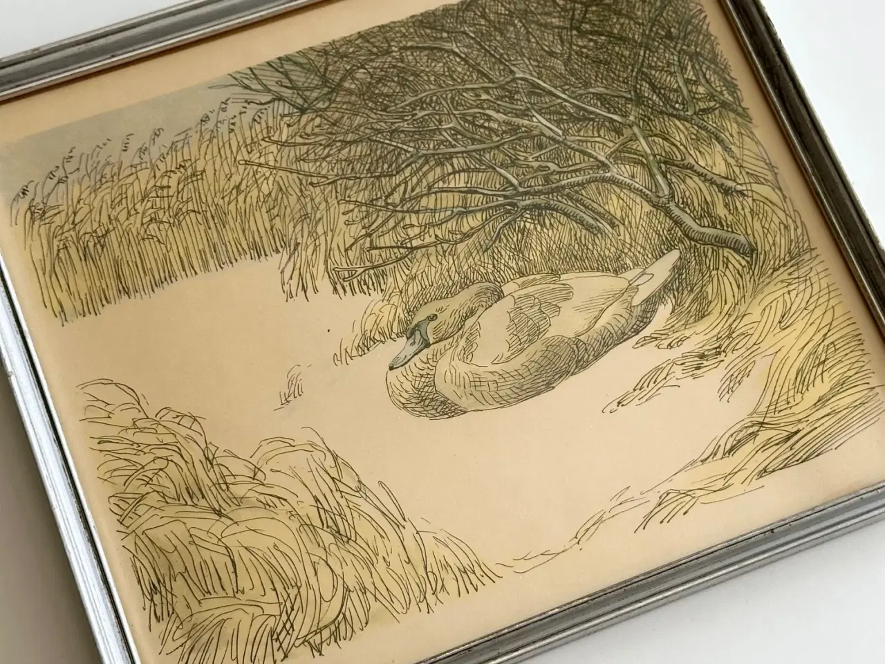 Billede 2 - Johannes Larsen, svane i sne