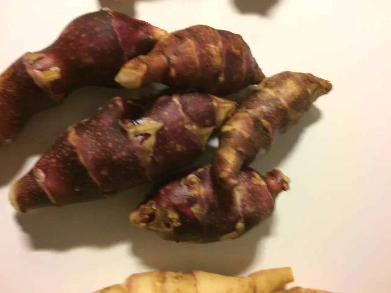 Billede 7 - Jordskokker 6 sorter alle vinterhårdfør