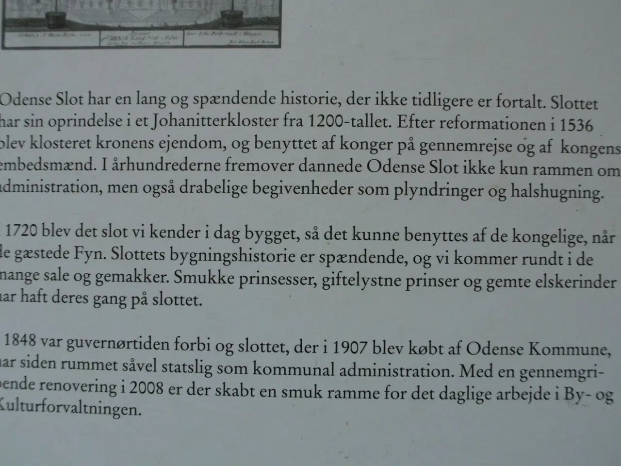 Billede 3 - odense slot - kloster, konge, stat og kommune