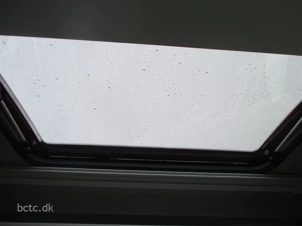 Billede 21 - 2026 - Giottiline Sienna