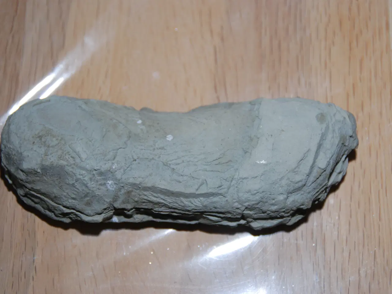 Billede 3 - Fossil