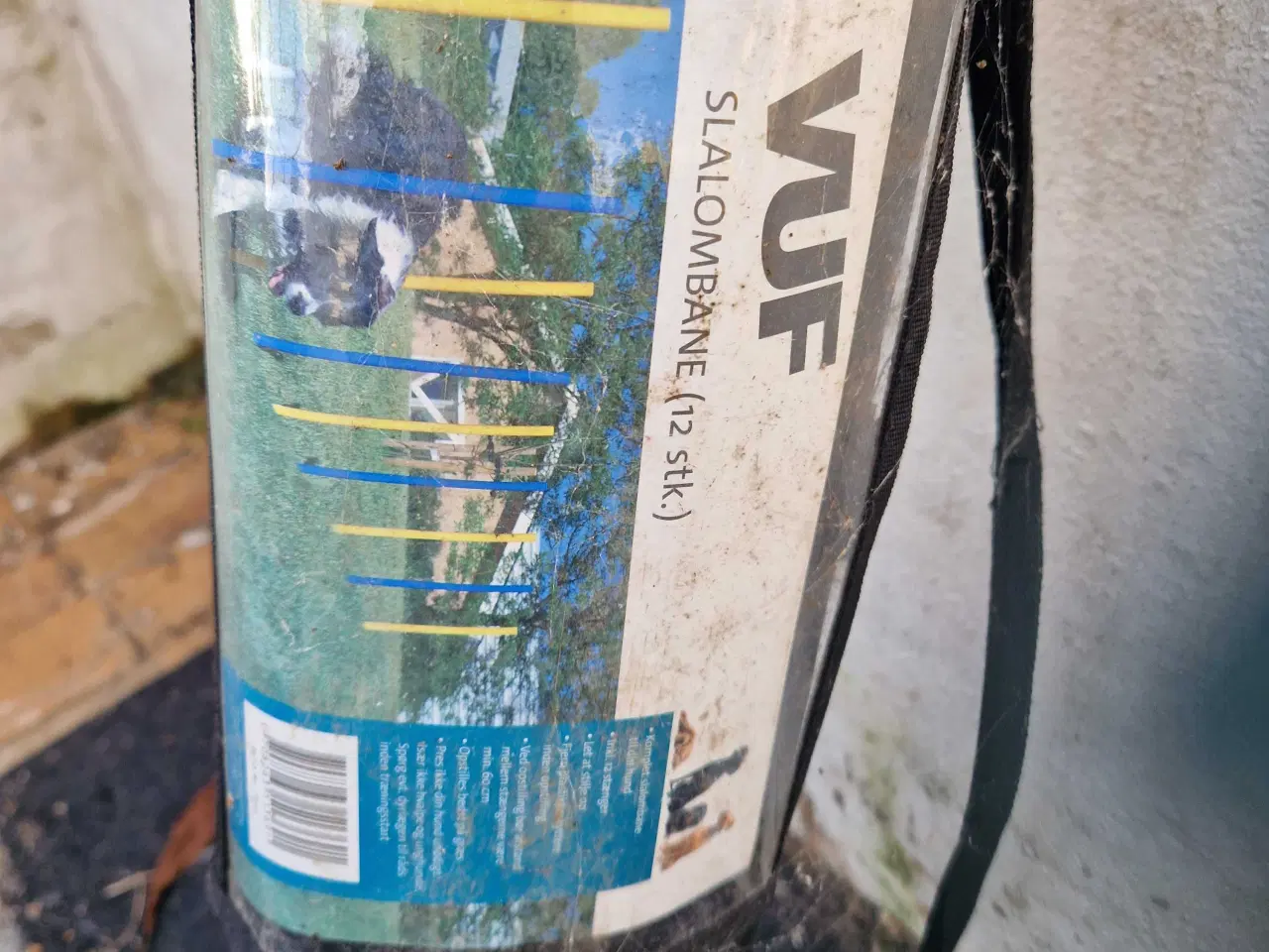 Billede 1 - Slalom - agility 