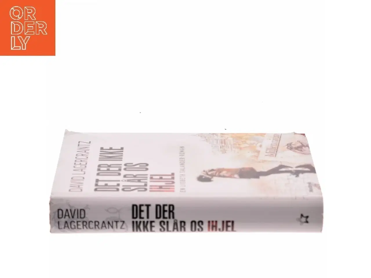 Billede 2 - Det der ikke slår os ihjel af David Lagercrantz (Bog)