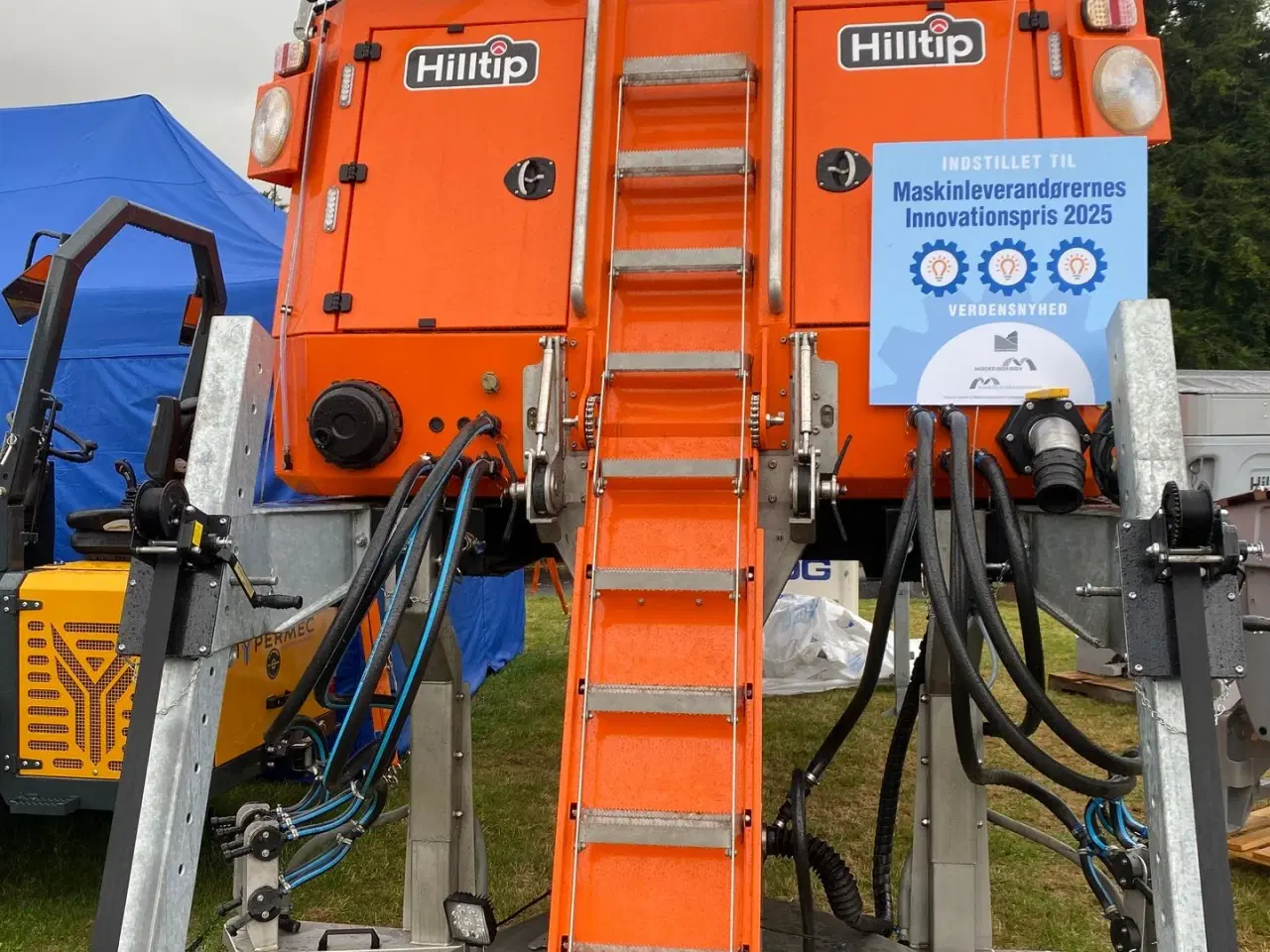 Billede 3 - HillTip lion