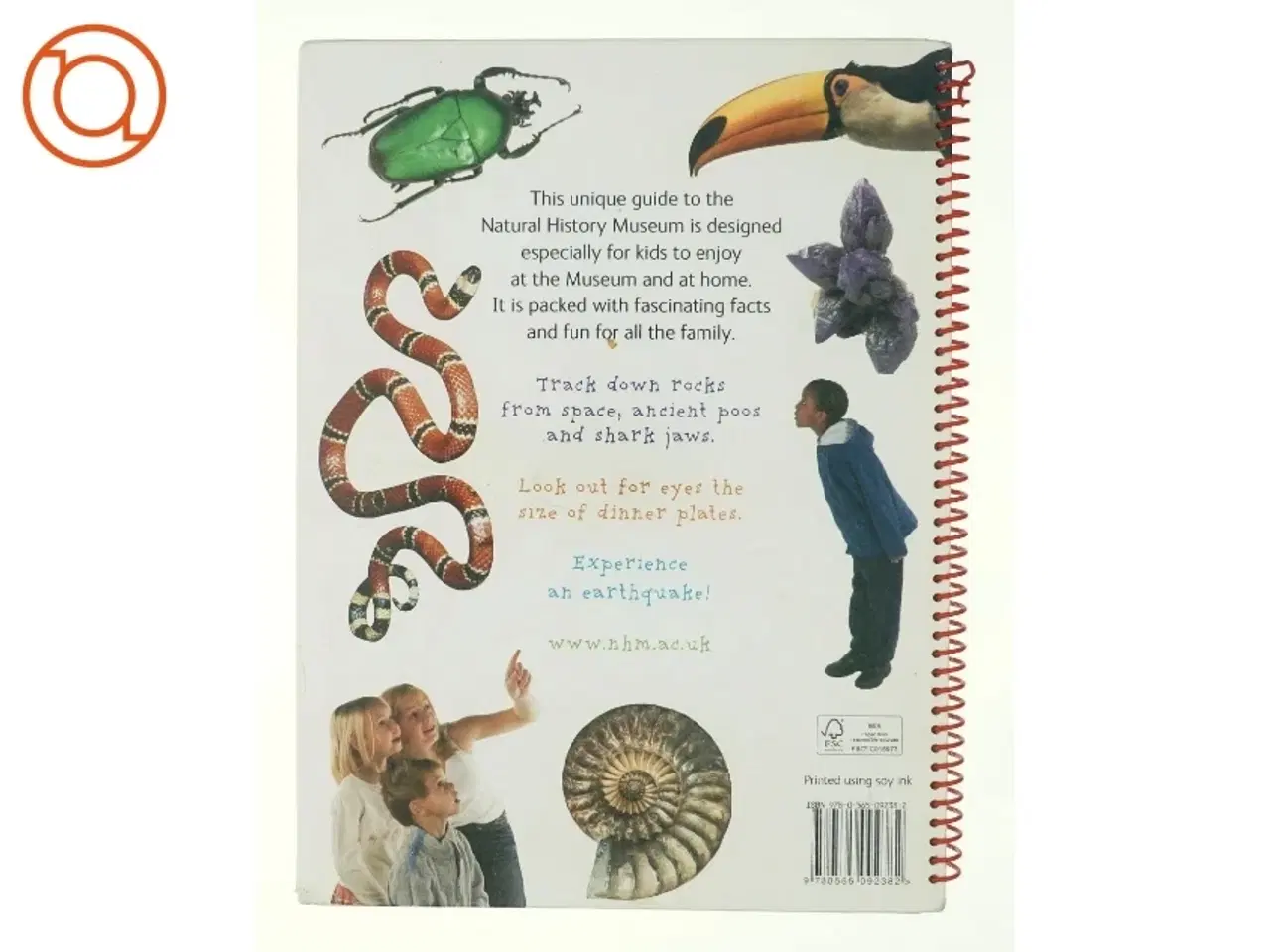 Billede 3 - Kids only : a children's guide (Bog)