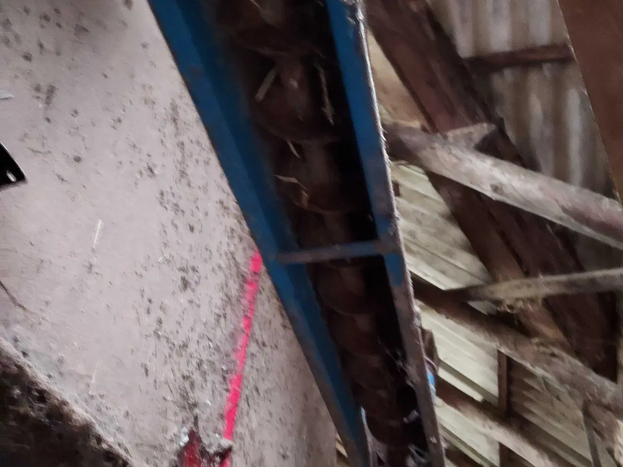 Billede 3 - Sneglerende