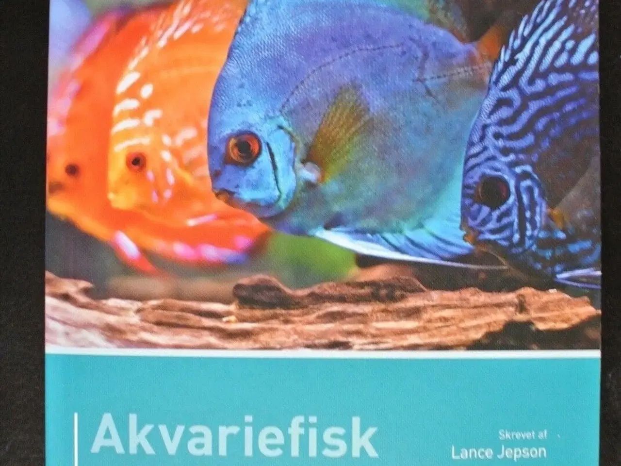 Billede 1 - akvariefisk - opsætning og vedligeholdelse af det 