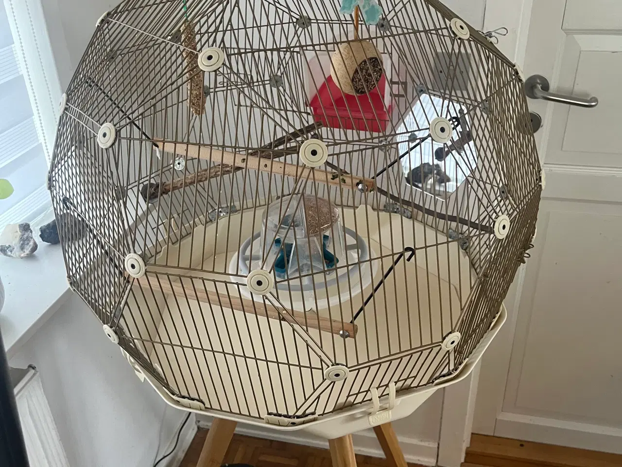 Billede 4 - Stort Geo fuglebur