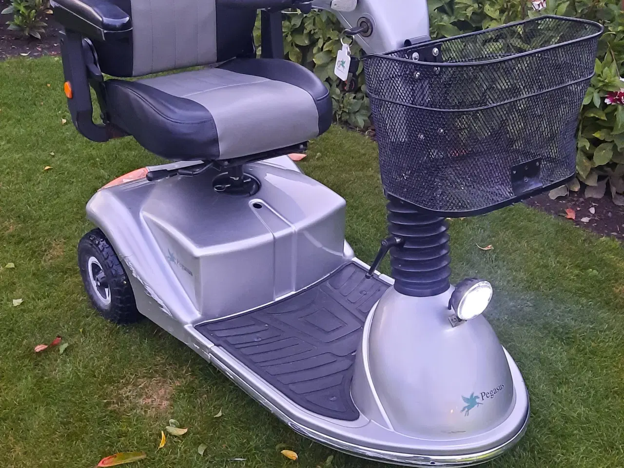 Billede 1 - Elscooter NYE batterier Pegasus Lærken 3