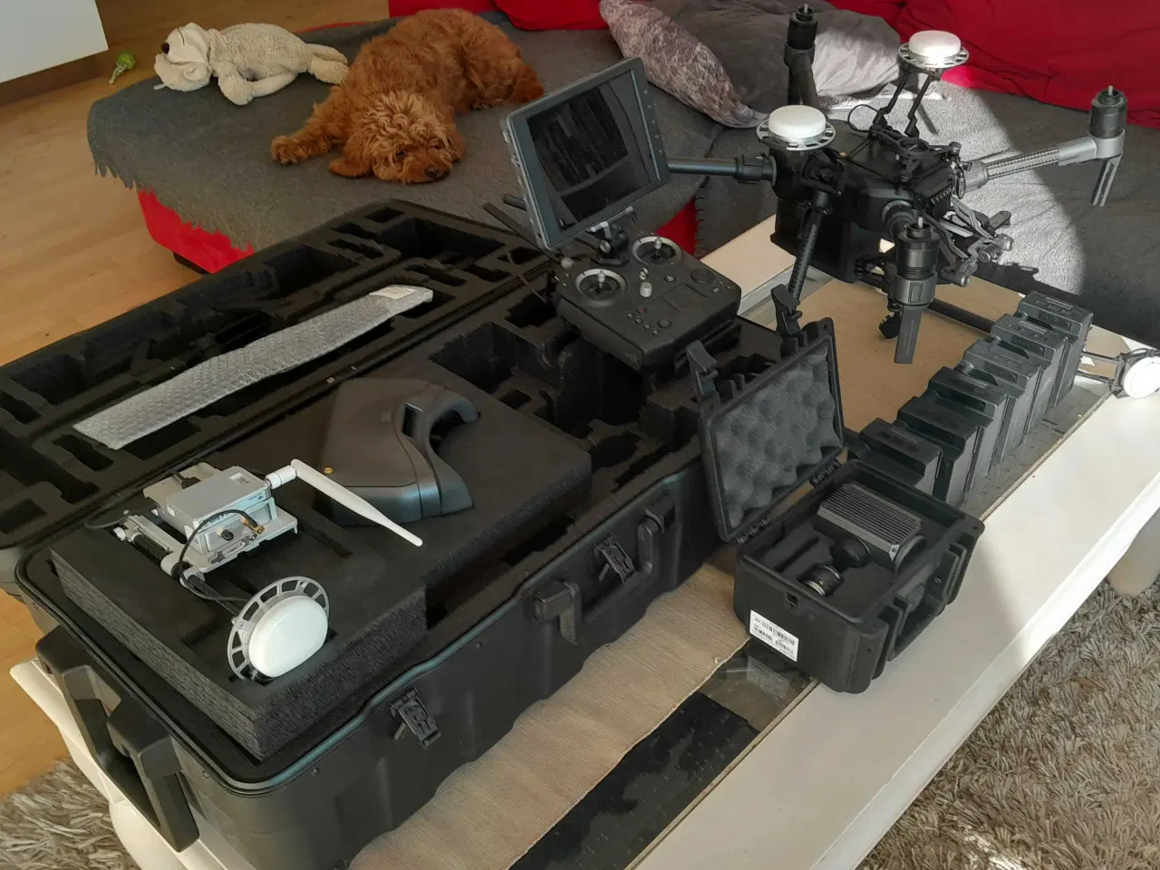 Billede 6 - Matrice 210 v2 RTK