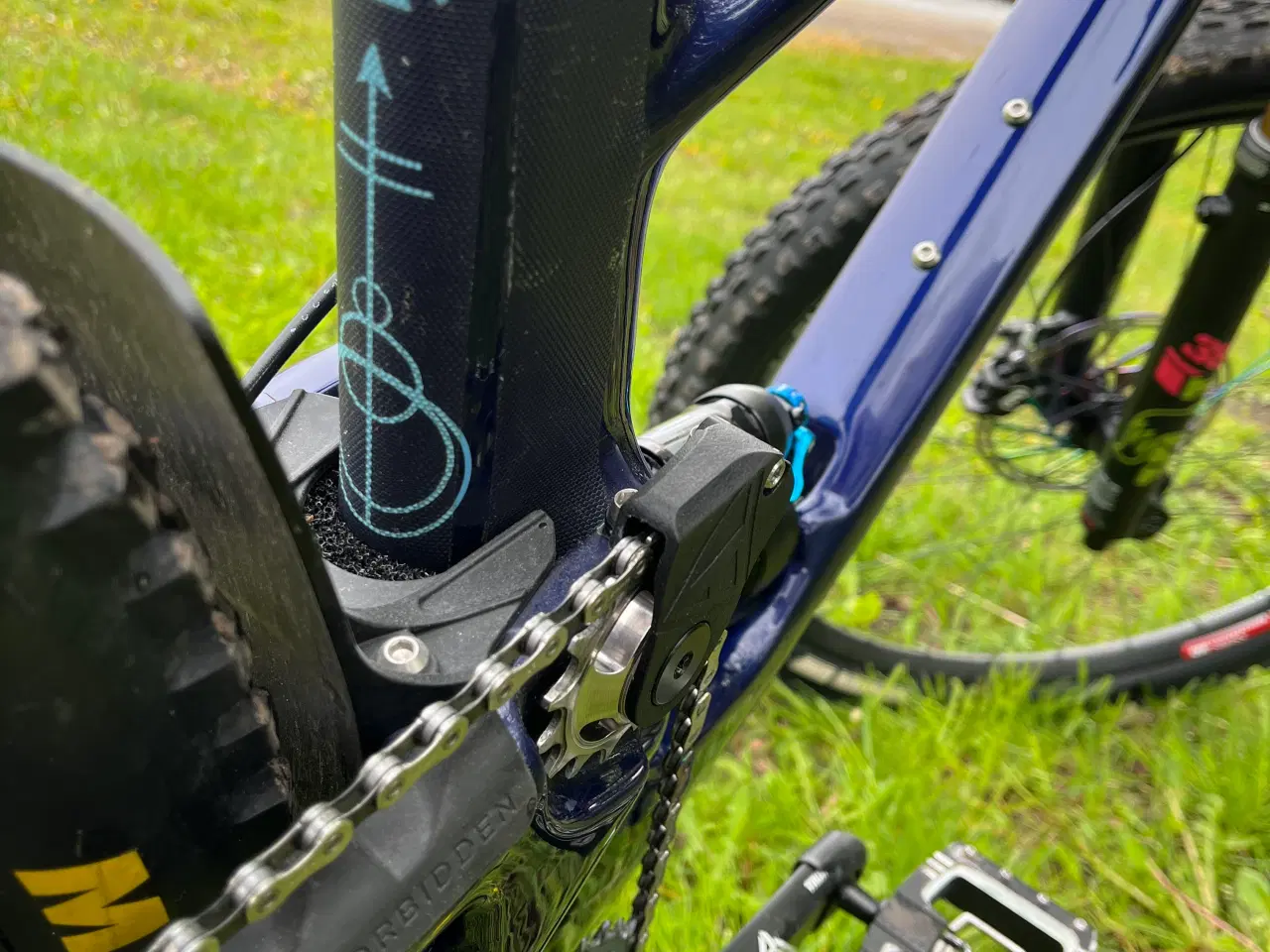 Billede 6 - Forbidden Druid 29 Large