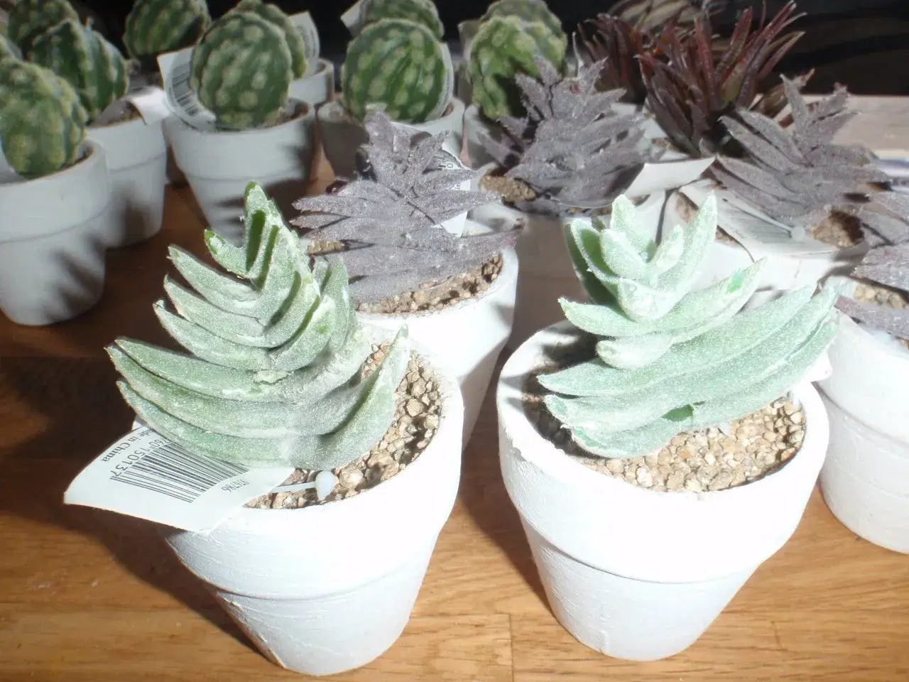 Billede 7 - Kunstige kaktusser