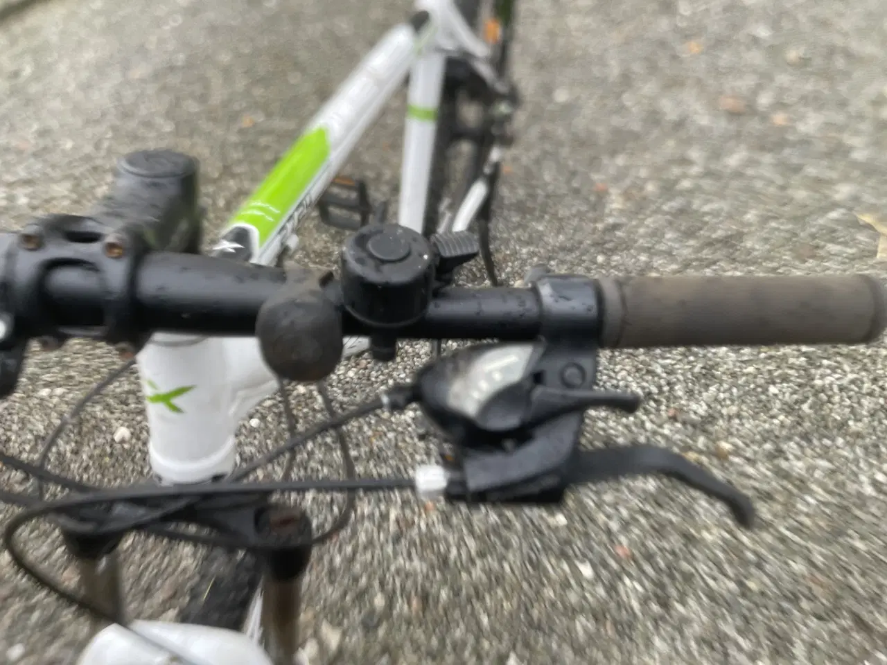 Billede 2 - Cykler kildmoes