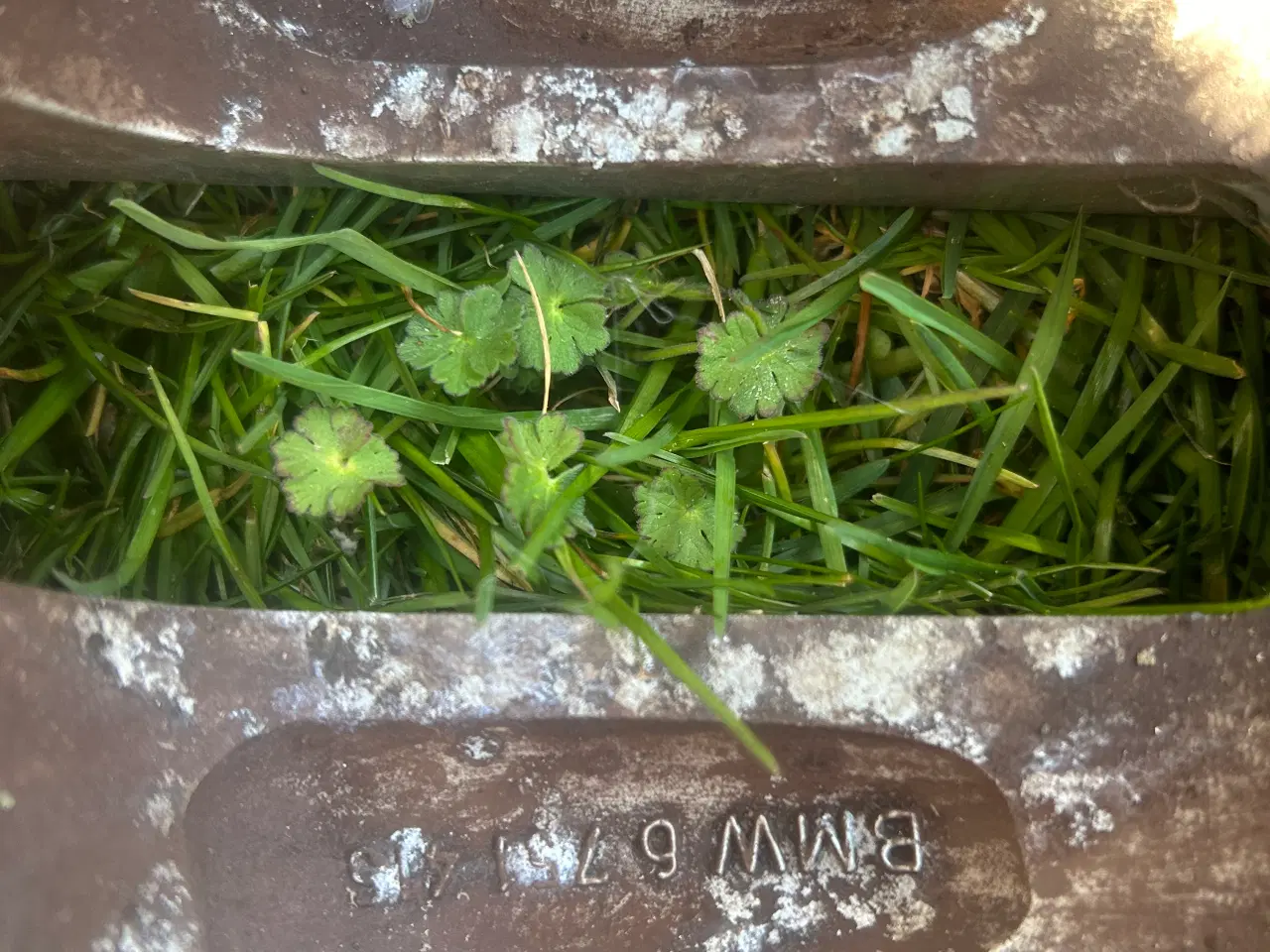 Billede 3 - Bmw serie1 hjul 