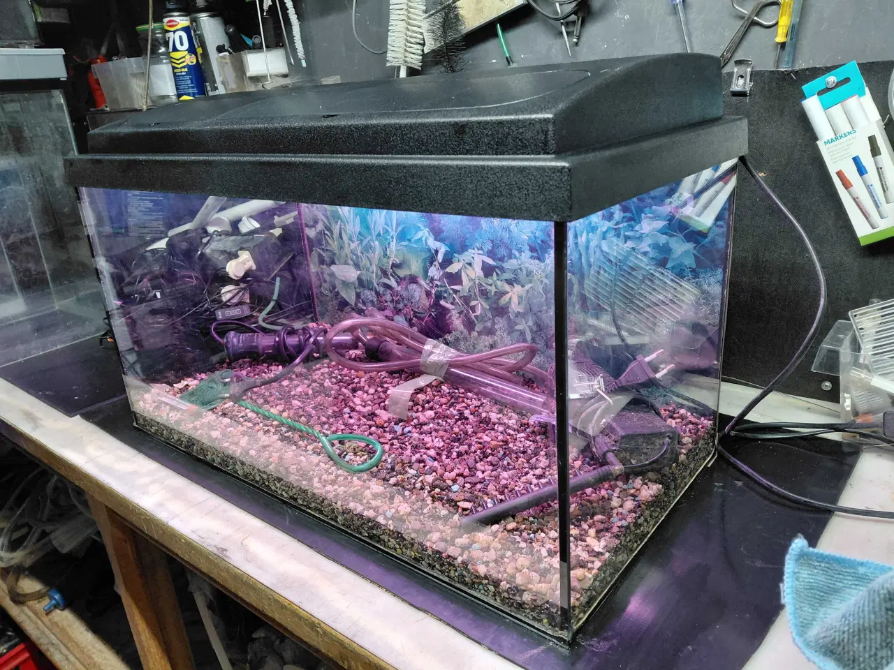 Billede 2 - Akvarier 54L 
