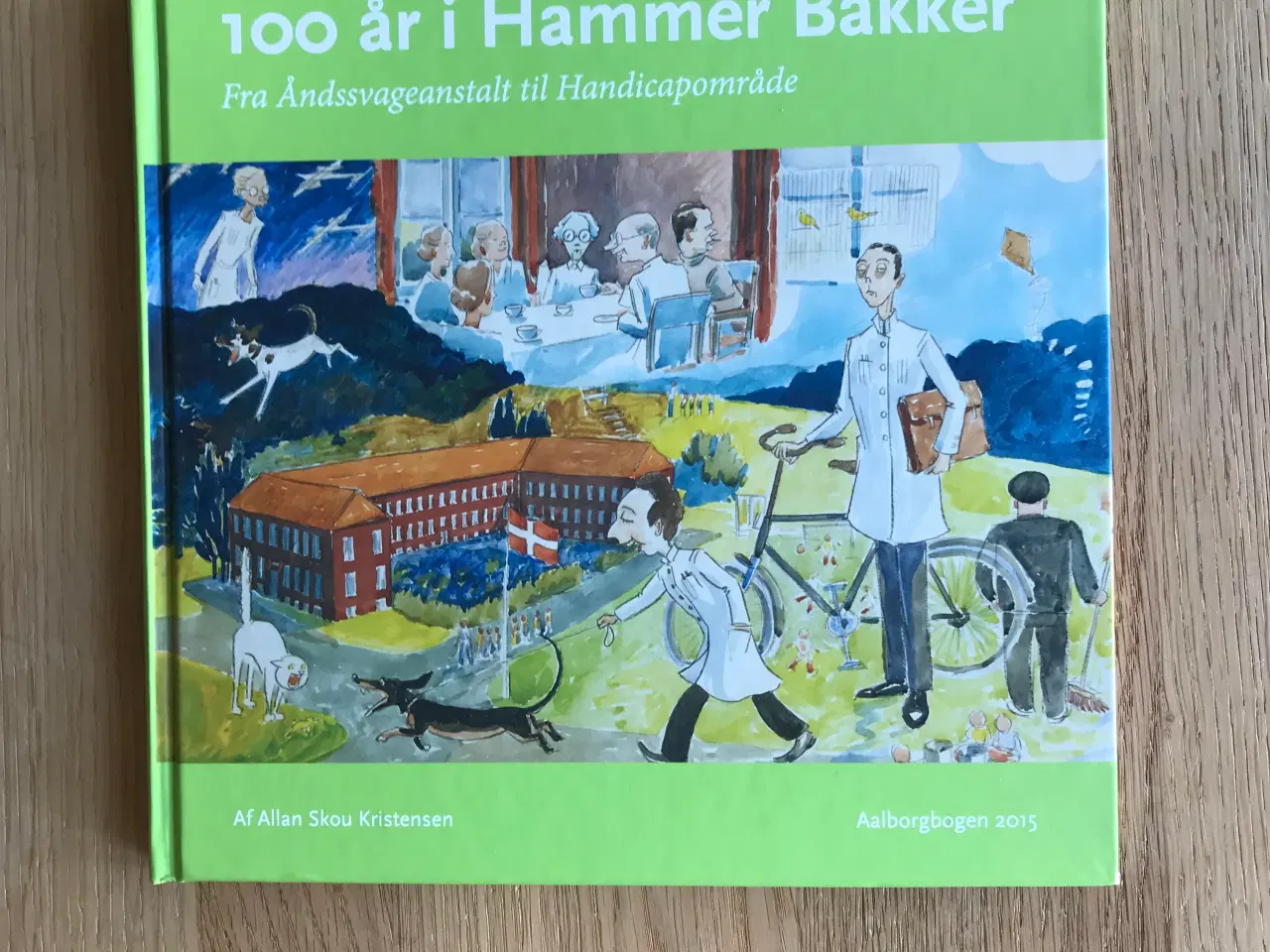 Billede 1 - 100 år i Hammer Bakker - Aalborgbogen 2015