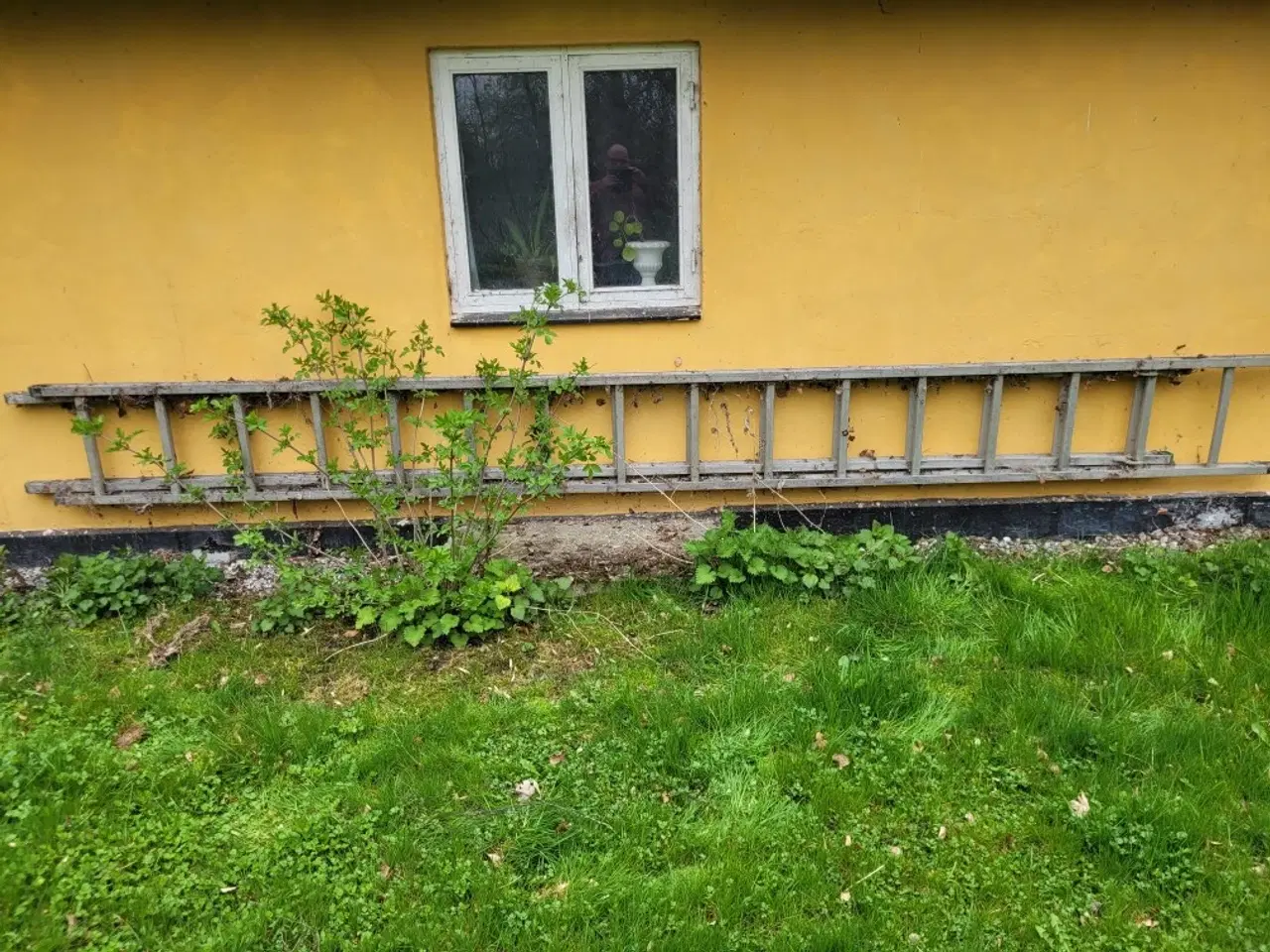 Billede 2 - 9 m skyde stige